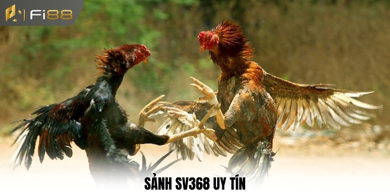 Sảnh SV368 uy tín